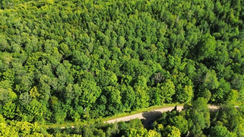 Lot - Ch. De La Montagne, Mandeville, QC 