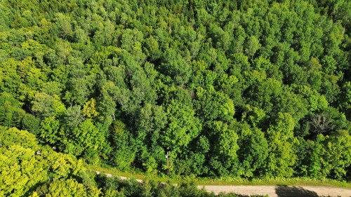 Lot - Ch. De La Montagne, Mandeville, QC 