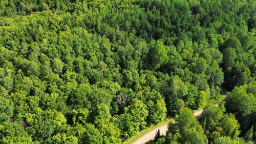 Lot - Ch. De La Montagne, Mandeville, QC 