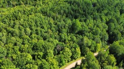 Lot - 