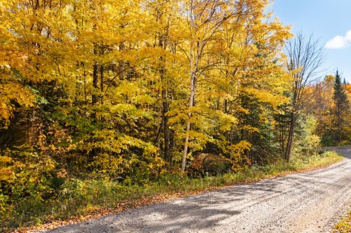 Lot - Ch. De La Montagne, Mandeville, QC 