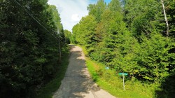 Lot - 