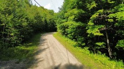 Lot - 