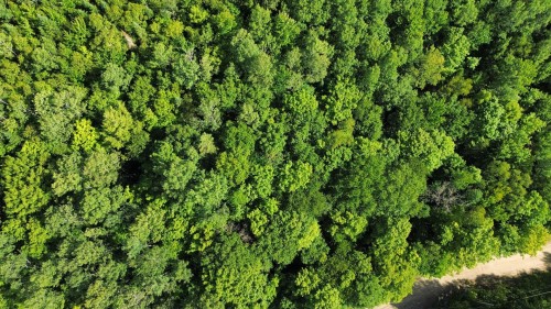Lot - Ch. De La Montagne, Mandeville, QC 