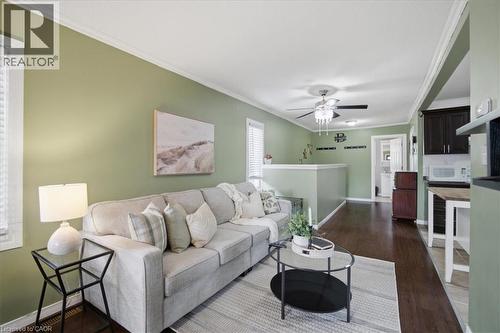 Wood-finish flooring throughout, ceiling fan with light fixture, window with blinds, and white crown molding - 22 Delena Avenue N, Hamilton, ON - Indoor Photo Showing Living Room