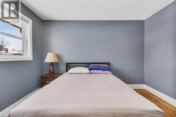 Wood-finish flooring with white baseboards, a white window frame, and neutral wall paint - 