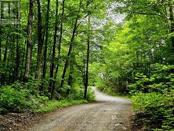 0 NORTH RUSAW ROAD North Kawartha, ON K0L 1A0