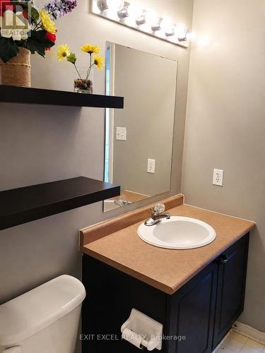17 Heartleaf Private, Ottawa, ON - Indoor Photo Showing Bathroom
