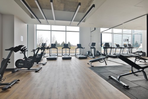 Salle d'exercice - 205-700 Rue Des Éclaircies, Brossard, QC - Indoor Photo Showing Gym Room