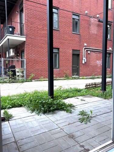 Cour - 102-930 Rue Charlevoix, Montréal (Le Sud-Ouest), QC - Outdoor With Exterior