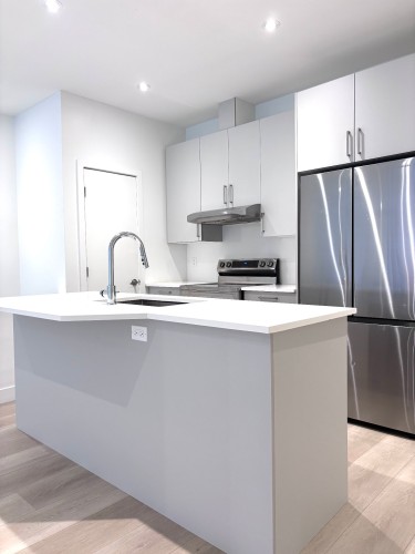 Cuisine - 102-930 Rue Charlevoix, Montréal (Le Sud-Ouest), QC - Indoor Photo Showing Kitchen With Upgraded Kitchen