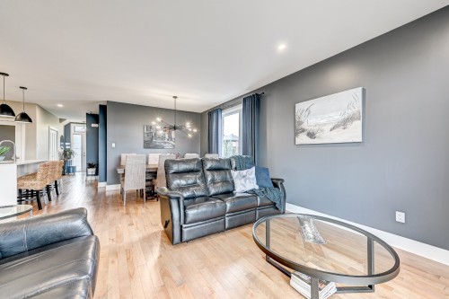 Living Room - 650 Rue Du Damier-Argenté, La Prairie, QC - Indoor Photo Showing Living Room