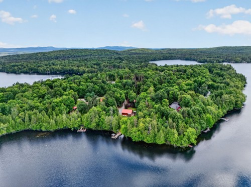 Vue d'ensemble - 1732 Ch. Du Lac-Paquet E., Rivière-Rouge, QC - Outdoor With Body Of Water With View