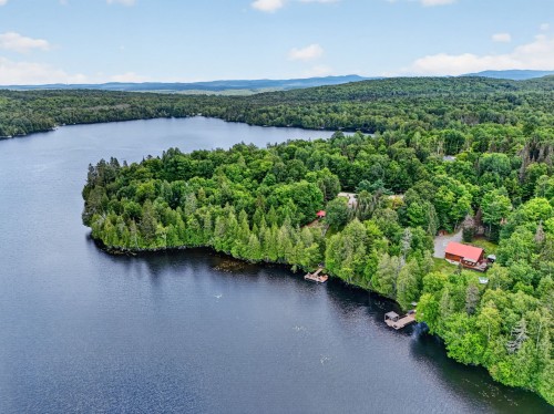 Vue d'ensemble - 1732 Ch. Du Lac-Paquet E., Rivière-Rouge, QC - Outdoor With Body Of Water With View