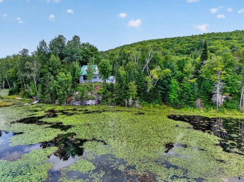 Waterfront - 1752 Ch. Du 5E-Rang S., Rivière-Rouge, QC - Outdoor