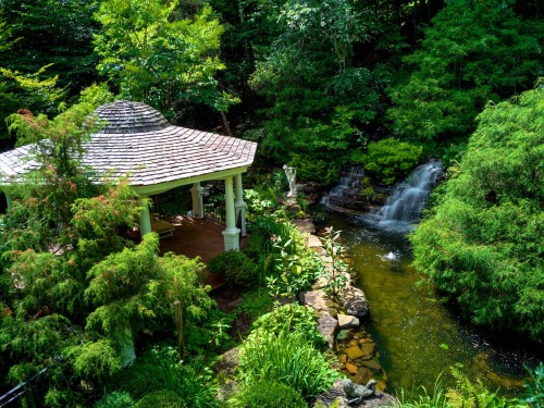 Jardin - 276 Ch. Du Belvédère, Piedmont, QC - Outdoor