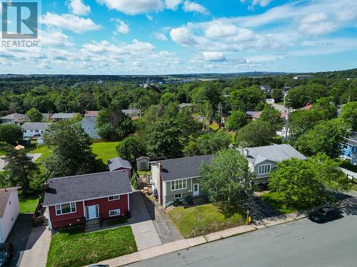 Established neighbourhood close to amenities - 22 Holbrook Avenue, St. John'S, NL - Outdoor With View