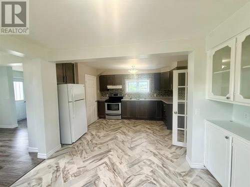 2 Eighteenth Avenue, Grand Falls-Windsor, NL - Indoor Photo Showing Kitchen