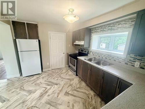 2 Eighteenth Avenue, Grand Falls-Windsor, NL - Indoor Photo Showing Kitchen With Double Sink