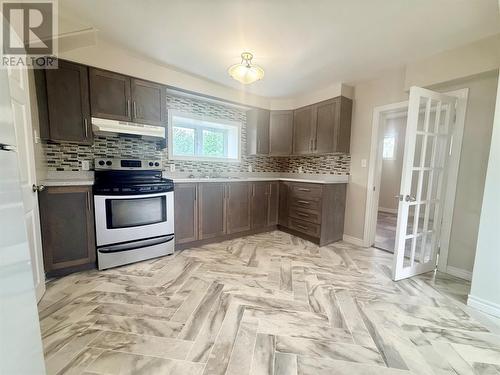 2 Eighteenth Avenue, Grand Falls-Windsor, NL - Indoor Photo Showing Kitchen