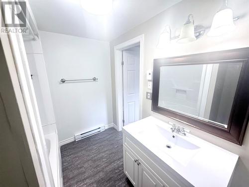 2 Eighteenth Avenue, Grand Falls-Windsor, NL - Indoor Photo Showing Bathroom
