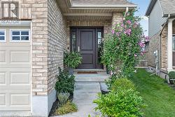 Brick exterior with a dark wood-finish entry door, garage with upper window panels, concrete steps, and lush landscaping - 