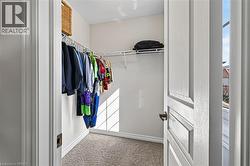Walk-in closet featuring wire shelving, white painted walls, and neutral carpet flooring - 