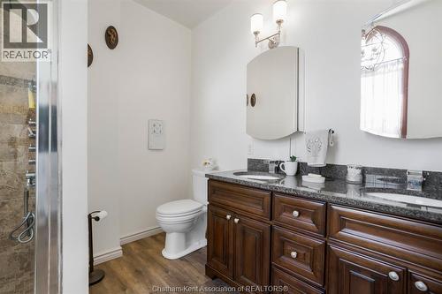 203 Mcintyre Street, Dutton, ON - Indoor Photo Showing Bathroom