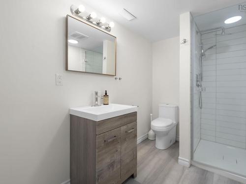 68 Seth Aaron Drive, Halifax, NS - Indoor Photo Showing Bathroom