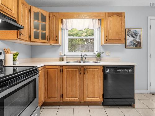 142 Stoneybrook Court, Halifax, NS - Indoor Photo Showing Kitchen With Double Sink