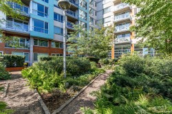 Jardin - 