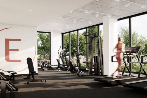 Salle d'exercice - 110-5995 Ch. De Chambly, Longueuil (Le Vieux-Longueuil), QC - Indoor Photo Showing Gym Room
