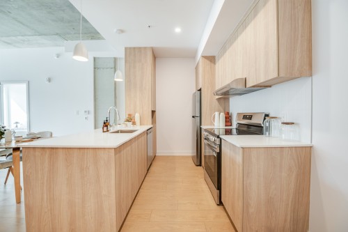 Cuisine - 202-5995 Ch. De Chambly, Longueuil (Le Vieux-Longueuil), QC - Indoor Photo Showing Kitchen