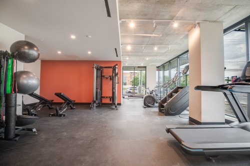 Salle d'exercice - 114-5995 Ch. De Chambly, Longueuil (Le Vieux-Longueuil), QC - Indoor Photo Showing Gym Room