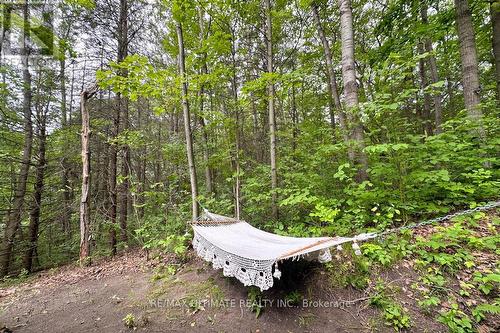 63 Sumac Lane, Scugog, ON - Outdoor