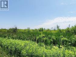 20200 HIGHWAY 48  East Gwillimbury, ON L0G 1M0