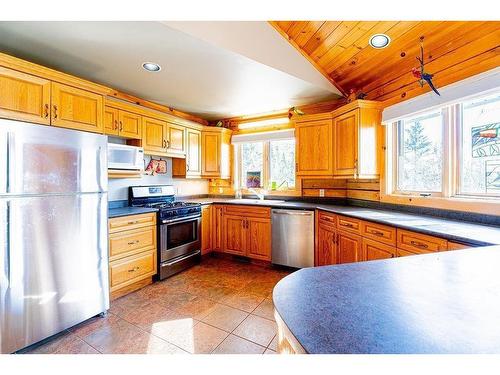 106 Island Avenue, Neebing, ON - Indoor Photo Showing Kitchen