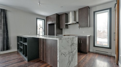 Cuisine - 531 Av. Du Jade, Sainte-Marie, QC - Indoor Photo Showing Kitchen