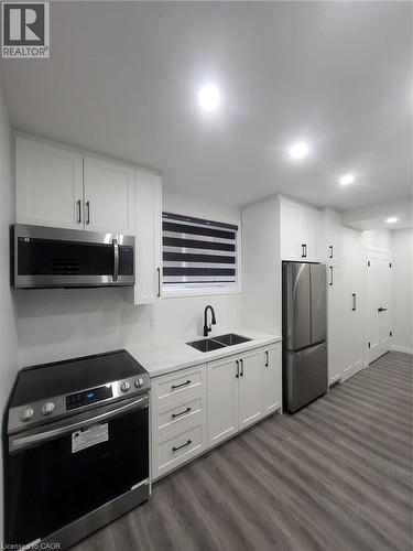 Unit 3 (lower level, typical finish) - 169 Fifth Avenue, Kitchener, ON - Indoor Photo Showing Kitchen With Double Sink