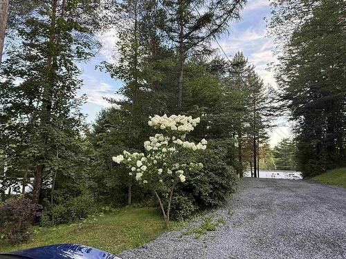 7101 Highway 14, Nine Mile River, NS - Outdoor