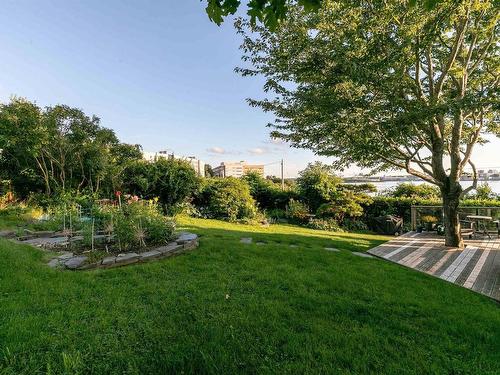 33 Cuisack Street, Dartmouth, NS - Outdoor