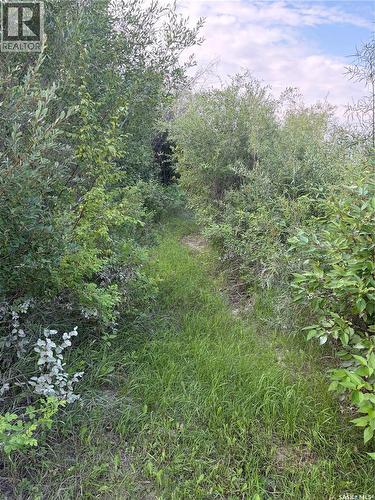 338 Laurier Crescent, North Saskatchewan River, SK - Outdoor