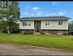 2 Morgan Street  Bishop's Falls, NL A0H 1C0