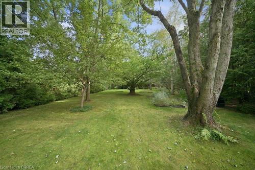 70 Thirteenth Street W, Simcoe, ON - Outdoor
