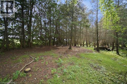 70 Thirteenth Street W, Simcoe, ON - Outdoor