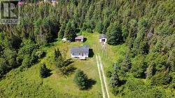 38-44 Juniper Avenue  Cormack, NL A8A 2M7