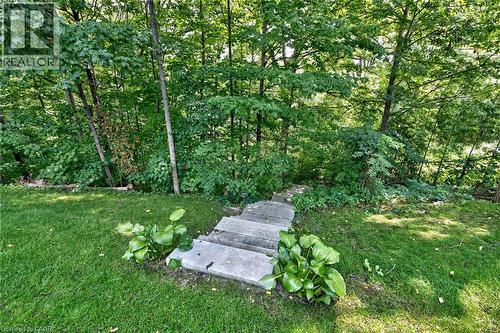 Manicured lawn with a stone pathway, surrounded by mature trees and natural foliage - 11 Christman Court, Markham, ON - Outdoor