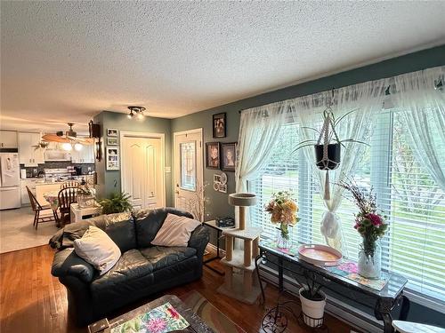 545 3Rd Avenue, Rivers, MB - Indoor Photo Showing Living Room