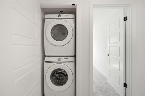 117 545 Dale Boulevard, Winnipeg, MB - Indoor Photo Showing Laundry Room