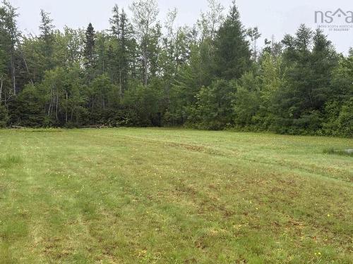3257 North Wallace Road, Wallace, NS 